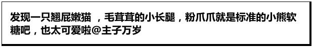 喵喵这个姿势好妖娆，粉嫩嫩的爪爪肥肥的臀！