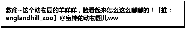 咩咩宝贝怎么这么可爱！好像疯狂动物城的羊市长！
