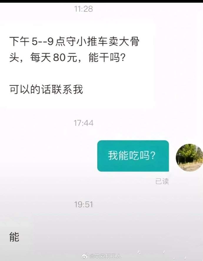 Word文档图片